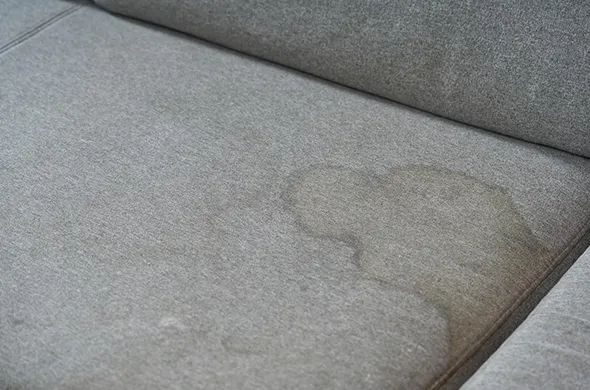 Cost-effective stain removal for upholstery in Cleveland OH, including pet stains and water damage repair.