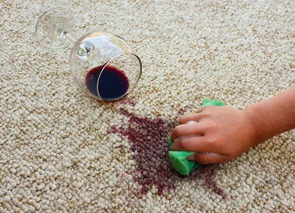 Key benefits of expert carpet stain removal including fast response, eco-safe products, and trusted service.