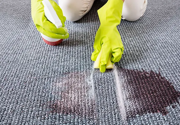 Advanced deep stain extraction for carpets in Canfield OH using fast-drying, low-moisture techniques.