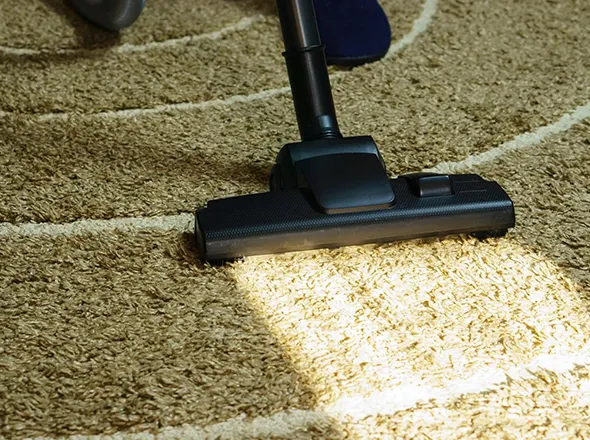 Uniontown OH carpet cleaners using eco-safe products for a clean, chemical-free home environment.