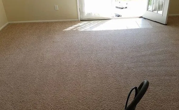 Specialized carpet stain removal service in Farrell PA treating pet messes, spills, and set-in spots.