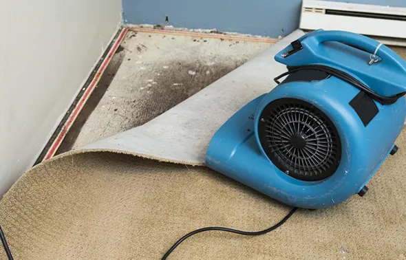 Trusted flood damage repair in Canfield OH for homes and businesses with drywall and carpet restoration.