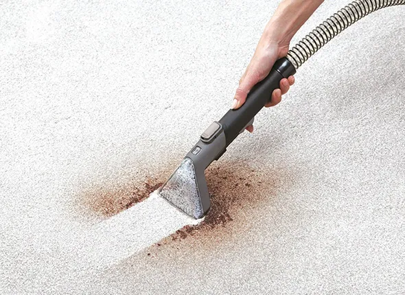 Pet-safe carpet stain removal in Youngstown eliminating odor and bacteria for a fresher home.